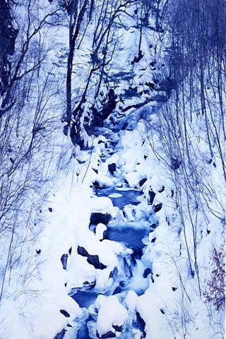 ����ֶ���ή���㲽��