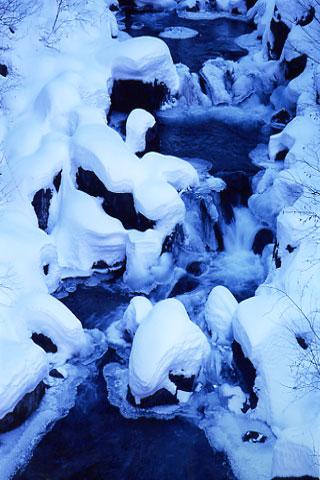 ��ë�㲽��