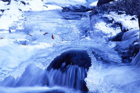 ���ߤ�ε��ë