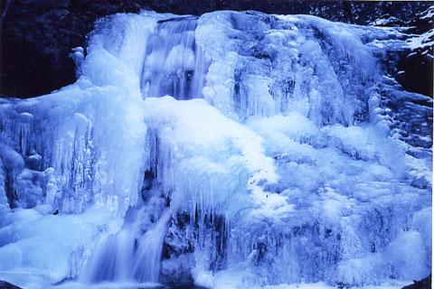 �й礤�������