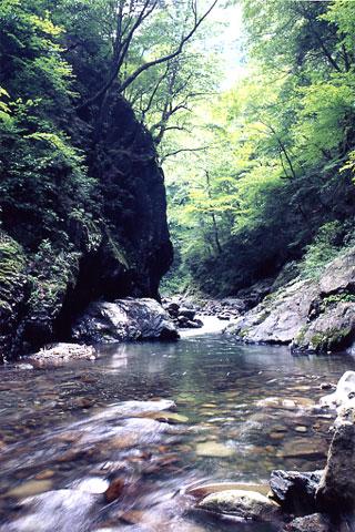 �������ë�ν�