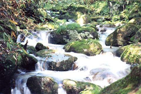 ���������ë�ξ�ή